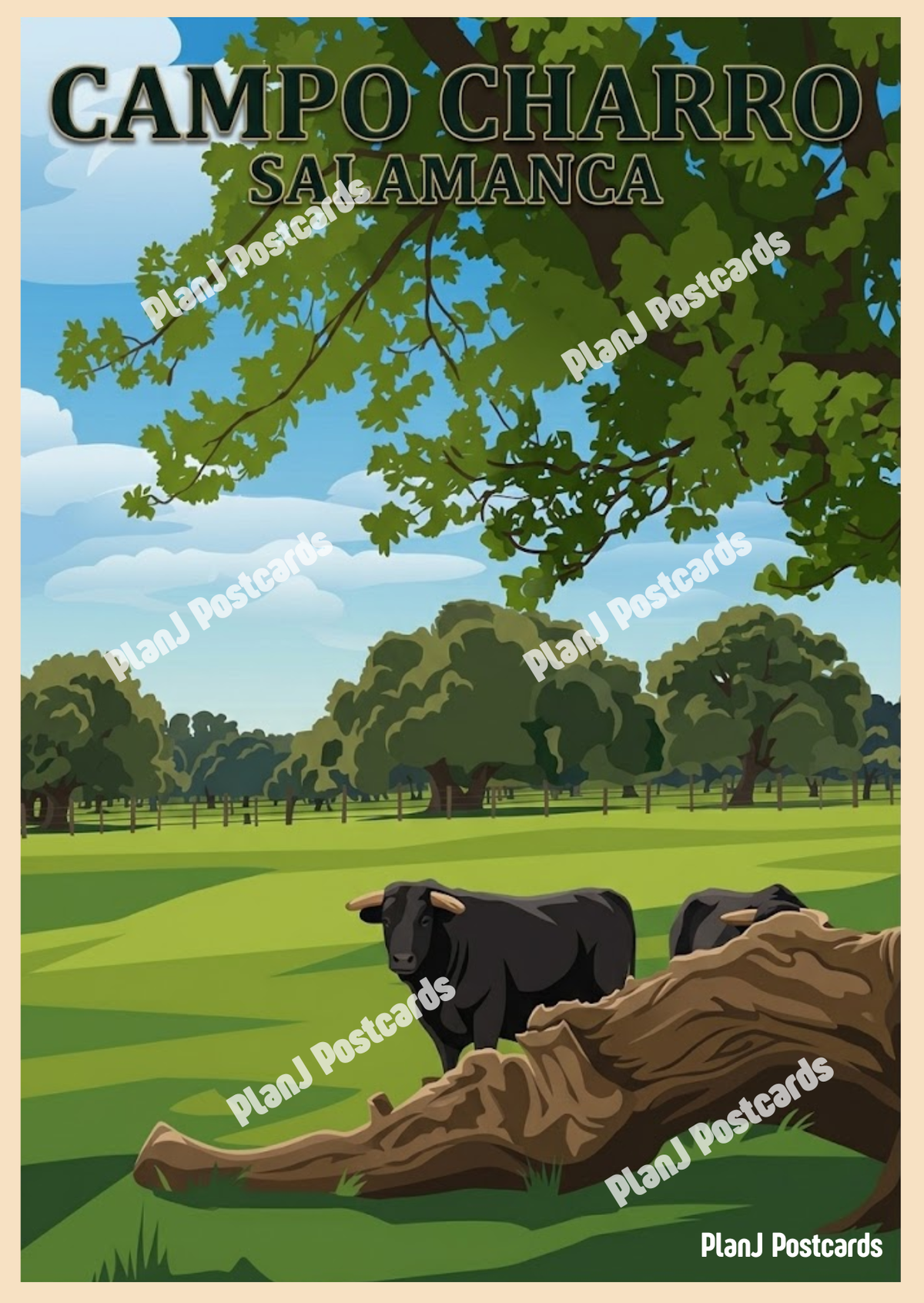 Campo Charro
